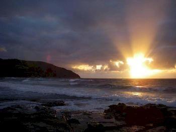 5 Whitecrest Great Ocean Road Resort - Ocean Views Sugarloaf ภายนอก รูปภาพ